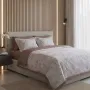 Комплект постільної білизни Viluta Євро Brushed Warm Cotton W-13 Вилюта - 1